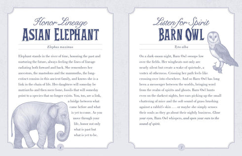 THE ILLUSTRATED BEASTIARY  ORACLE CARDS - TOLL. MAIA; O'HARA. KATE